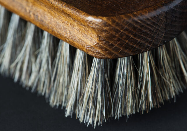 Closeup of shoe brush